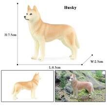 Oenux perro animales modelo Husky pastor alemán Rottweiler San Bernard figura de acción cachorro figuras PVC colección juguete chico regalo - Modelo de perro 2 - Ver 10