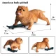 Perro Modelo 20
