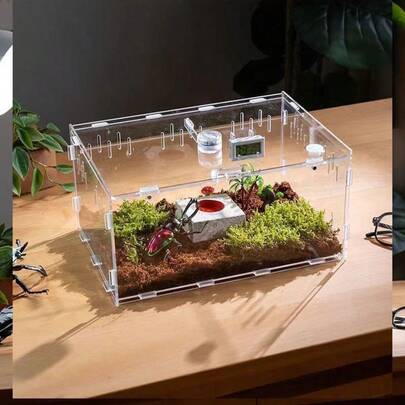 Bộ lắp ráp chuồng thú cưng bằng acrylic, hộp nuôi thú cưng nhỏ cho nhện, bọ cạp, bọ cánh cứng, trang trí chuồng nuôi, hộp trong suốt cao.