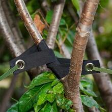 Tree Support Straps, Seedling Fixation Straps, Anti-Wind Fixation Straps, Outdoor Tree Support Straps With Metal Rings To Prevent Falling, Suitable For Garden And Yard - Multicolor - View 5
