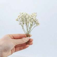 1/10/50Pcs Pure White Artificial Daisies, Exquisite Texture, Boho Style DIY Floral Supplies For Wreath & Table Decor, Decorations For Wedding, Home, Office, Garden & Party, Great Holiday Ornaments & Gifts - Multicolor - View 6