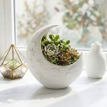 5.1英寸新月形花盆套装，黑白装饰桌面花瓶，人造多肉植物花盆，月亮造型桌面家居装饰 - A - 查看 2