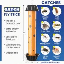 Fruit Fly Trap 3 Pack , Fly Stick  Mosquitoes, Sticky Trap  Flies Gna Wasp Flng Insec, Bug Catcer, Indoor Or Outdoor Use, Ready To Use Ome - Quả cam - Xem 2