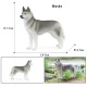 Modelo de perro 3