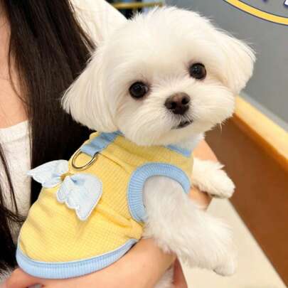1 pieza Chaleco con alas de ángel lindo para mascotas, ropa transpirable anti-pelos para perros y gatos de razas pequeñas y medianas, conjunto de tejido de gofre con anillo para correa, para uso diario y paseos al aire libre en primavera, verano y otoño