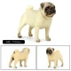Modelo de perro 25