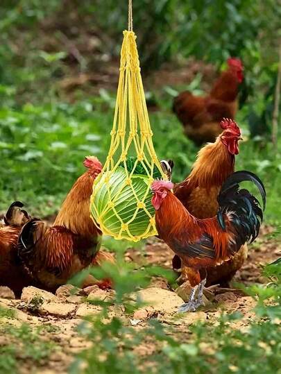 Máng ăn cho thú cưng nhiều màu sắc ngẫu nhiên, lưới đựng thức ăn bằng nylon cho gà, lưới tìm thức ăn cho vịt và ngỗng, máng ăn rau củ quả treo, đồ chơi cho lồng gà.