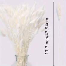 60/120/180/240支 44cm 人造兔尾草，家居裝飾人造兔尾草莖，適用於波希米亞花藝布置、DIY手工藝、居家廚房與婚禮裝飾、聖誕裝飾、感恩節裝飾、DIY花環裝飾 - 白色兔尾草 - 查看 6