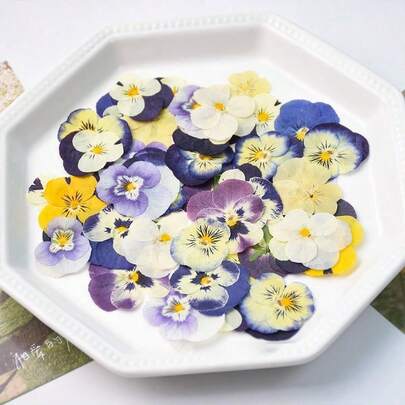 16pcs Mixed Style Random Color Natural Dried Flowers, 100% Natural Plant Material Multi-Purpose DIY Decorations, Suitable For Candle Decor, Resin Crafts, Bookmarks, Jewelry Making, Soap Making, Phone Case Decor, Mirror Decor, Handicrafts, Birthday, Women's Day, Mother's Day, Retirement Gifts