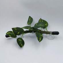 一套7.87英寸/11.81英寸爬行动物藤蔓和叶子，适用于鱼缸装饰，也可用于装饰变色龙、蜥蜴、螃蟹、蜘蛛和壁虎的栖息地。 - 20公分 - 查看 7