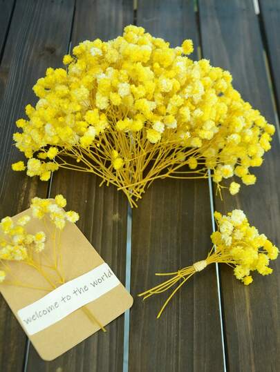 25/50/100/150/300 bông hoa giả mini hoa baby's breath và các loại hoa khác - Dùng cho khuôn nhựa, nghệ thuật và thủ công, bó hoa màu sắc dùng làm phụ kiện tóc, vòng hoa cưới, trang trí bàn, trang trí nhà cửa - Bó hoa màu trắng ngà dùng làm phụ kiện tóc, vòng hoa cưới, trang trí bàn và trang trí nhà cửa.