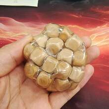 1个手工木制软绵绵减压球，多巴胺挤压玩具 - 彩色 - 查看 2