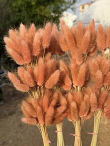 60/120/180/240支 44cm 人造兔尾草，家居裝飾人造兔尾草莖，適用於波希米亞風花卉裝飾、DIY手工藝、居家廚房與婚禮裝飾、聖誕裝飾、感恩節裝飾、DIY花環裝飾 - 淺紅棕兔尾草 - 查看 8