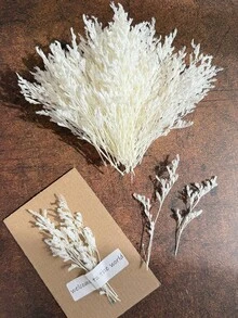25/50/100/150/300 bông hoa giả mini hoa baby's breath và các loại hoa khác - Dùng cho khuôn nhựa, nghệ thuật và thủ công, bó hoa màu sắc dùng làm phụ kiện tóc, vòng hoa cưới, trang trí bàn, trang trí nhà cửa - Bó hoa màu trắng ngà dùng làm phụ kiện tóc, vòng hoa cưới, trang trí bàn và trang trí nhà cửa. - Trắng (Cỏ tình nhân) - Xem 10