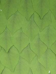 50 tờ giấy ghi chú hình lá cây - Văn phòng phẩm - màu xanh lá - Xem 6
