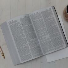 NKJV, Holy Bible, Soft Touch Edition, Leathersoft, Pink, Comfort Print: Holy Bible, New King James Version - Default - View 4