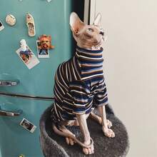 秋冬季无毛猫暹罗缅因猫服装，斯芬克斯猫、德文卷毛猫、阿比西尼亚猫亲肤透气保暖空调毛衣，高领条纹短袖家居服 - 藍色 - 查看 5
