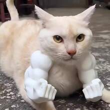 Multi-Color Cat Toys, Funny Cat Muscle Arm, Halter Gag Gift, Pet Photography Prop, Christmas Cat Costume, Cat Muscle Arm - Multicolor - View 9