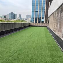轻薄人造草坪垫，经久耐用，易于裁剪，防火防水，适用于室内外、露台、阳台、宠物游乐场——低维护成本的庭院解决方案，外观自然，安装简便，可用作派对背景、活动策划、户外及花园用品、庭院及花园装饰、人造草坪。 - 人造草坪 - 查看 6
