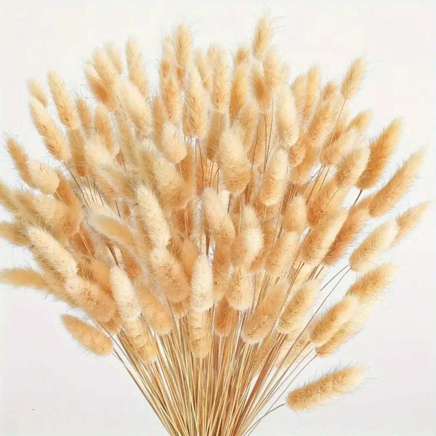 60/120/180/240入 44cm 人造兔尾草,居家裝飾人造兔尾草莖,適用於波希米亞風花藝布置、DIY手工藝、居家廚房與婚禮裝飾、聖誕裝飾、感恩節裝飾、DIY花環裝飾 - 棕色兔尾草 - 查看 1