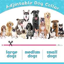 1pc LED Rechargeable Glowing Dog Collar, 3 Lighting Modes, Visible At Night For Outdoor Safety, Suitable For Small To Large Dogs & Cats, Creates Festive Atmosphere - Black and White - View 8
