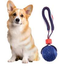 Jouet de balle à nœud en corde pour chien avec poignée, balle de football en os pour animal de compagnie avec cordon élastique, balle de mastication et de dentition durable pour l'entraînement à la mastication, jeu de maintien pour chiot, tir à la corde, rapporter, lancer, entraînement pour chiens de taille moyenne et petite, balle élastique en TPR, entraînement à l'agilité, jouet puzzle interactif, jouets pour chiens pour les masticateurs agressifs - Multicolore - Voir 10