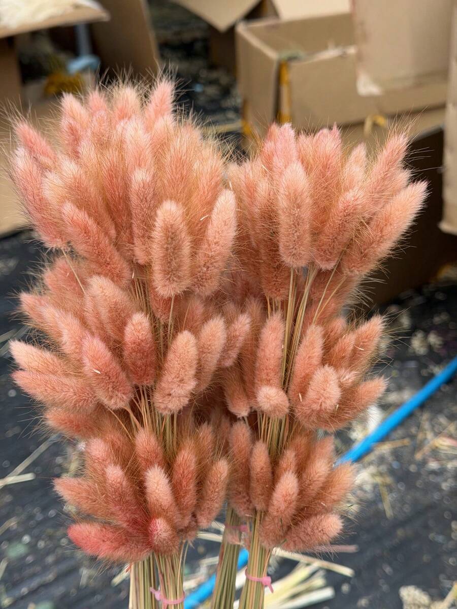 60/120/180/240支 44cm 人造兔尾草,家居裝飾人造兔尾草莖,適用於波希米亞風花卉裝飾、DIY手工藝、居家廚房與婚禮裝飾、聖誕裝飾、感恩節裝飾、DIY花環裝飾 - 淺紅棕兔尾草 - 查看 1