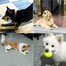 4 quả bóng tennis tương tác cho chó, được làm từ chất liệu cao su đàn hồi cao. - Nhiều màu - Xem 4