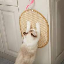 仙人掌猫抓垫、猫抓板、磨爪器、不掉毛剑麻垫、粘性猫抓柱、止痒 - 仙人掌形(30*60cm) - 查看 2