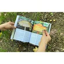 The Forager's Guide To Wild Foods - Mặc định - Xem 7