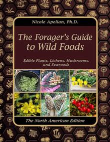 The Forager's Guide To Wild Foods - Mặc định - Xem 8