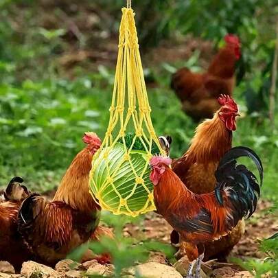 Máng ăn cho thú cưng nhiều màu sắc ngẫu nhiên, lưới đựng thức ăn bằng nylon cho gà, lưới tìm thức ăn cho vịt và ngỗng, máng ăn rau củ quả treo, đồ chơi cho lồng gà.