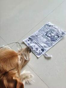 狗狗磨牙玩具，仿沙沙纸质感，缓解无聊，耐用磨牙玩具，宠物用品 - 白色 - 查看 3
