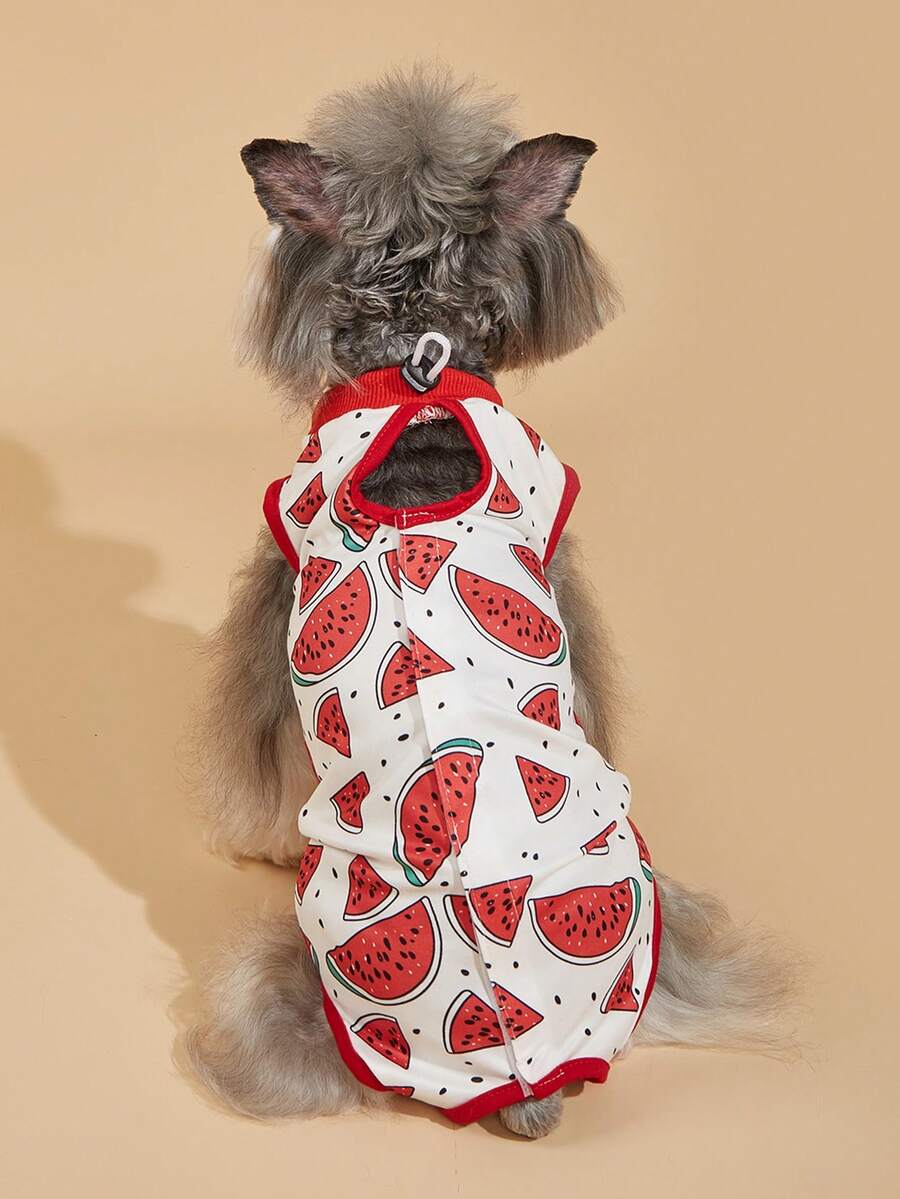 1件可调节猫咪绝育服,柔软轻薄的幼猫断奶服,四脚猫咪防舔保暖服 - 紅色 - 查看 1