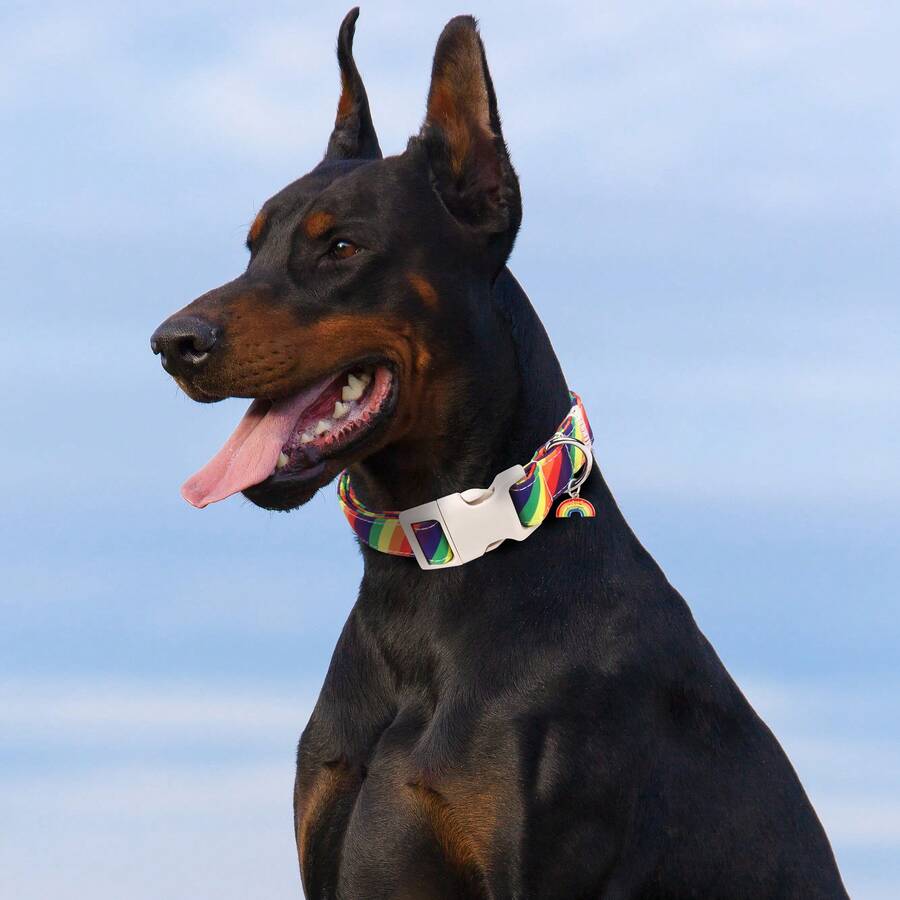 Adjustable Rainbow Dog Collar - Multicolor Striped Print, Soft Comfortable Material That's Gentle On Pet Skin, Quick-Release Safety Buckle (Easy To Use & Reliable), Cute Rainbow Charm, Fits Neck Sizes 8-24 Inches (Suitable For Small/Medium/Large Dogs), Printed Craft Ensures Clear Patterns, Perfect Pride Gift: The Bright Color Match Boosts The Warm Festive Atmosphere - Multicolor - View 1