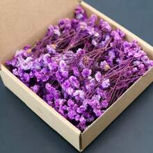 HOSY 50/100 Pcs Pure White Artificial Daisy Flowers - Exquisite, Easy To DIY, Suitable For Wedding, Home And Office Decor, Parties And Gardens - Tabletop Bohemian Garland, No Feathers, No Electricity, Suitable For Christmas, Thanksgiving And Halloween Decorations, Home Christmas Gifts And Christmas Decorations - White Baby's Breath - View 20