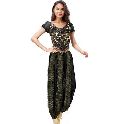Bohemian Coin-Draped Chiffon Crop Top & Sparkle Harem Pants, Handmade-Style Belly Dance Outfit For Festivals, Renaissance Faires, And Exotic Themed Events (Multiple Colors Available)