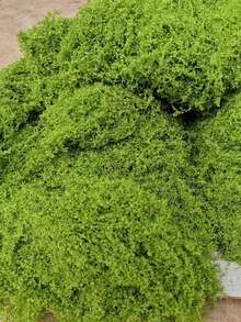 1包 30克/50克/100克/200克/500克 人造苔藓，用于家居装饰，模拟苔藓微景观布置，草坪，盆栽植物 - 彩色 - 查看 12