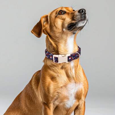 Patriotic Popsicle Print Dog Collar - Navy Blue Base With Red, White & Blue Popsicle & Star Design, Adjustable Soft Comfortable Fabric, Quick-Release Safety Buckle (Secure For Energetic Pets), Multiple Sizes For Small/Medium/Large Dogs, Ideal For Both Indoor & Outdoor Use, Festive Gift: The Bold Red-White-Blue Color Match Enhances The Patriotic Holiday Mood