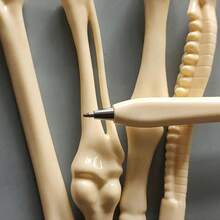 4/8pcs Creative Bone-Shaped Ballpoint Pens, Various Stylish Designs, Writing & Drawing Pens, Small Gifts, Perfect For Nurses, Doctors And Office Use - Multicolor - View 7