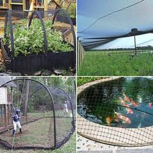 Basic Duty Knotless Anti Bird Net - Garden Pigeon Chicken Cat Prevention - 5*10M - View 5