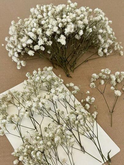 20/50/100/150/300pcs Mini Artificial Baby's Breath & Other Flowers - For Resin Mold Art & Crafts, Colored Bouquets For Hair Accessories, Wedding Wreaths, Table Decor, Home Decoration - Ivory White Bouquets For Hair Accessories, Wedding Wreaths, Table Decor & Home Decoration,Fake Plants,Artificial Plants,Bathroom Accessories,Home Decor,Bathroom Decor,Plant Pots,Plant Pots Outdoor,Plants,Garden,Fake Flowers,Flowers Artificial,Room Decor,Bedroom Decor.