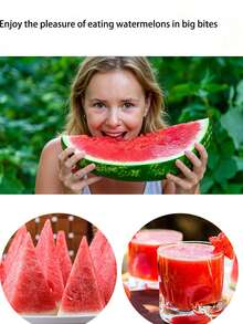 1Pc 2-In-1 Watermelon Seed Remover Tool, Multifunctional Stainless Steel Fruit Fork Seed Extractor, Non-Slip Handle Portable Kitchen Gadget For Summer Melon Quick Seed Removal & Fruit Cutting - Multicolor - View 7