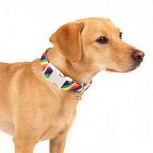 Adjustable Rainbow Dog Collar - Multicolor Striped Print, Soft Comfortable Material That's Gentle On Pet Skin, Quick-Release Safety Buckle (Easy To Use & Reliable), Cute Rainbow Charm, Fits Neck Sizes 8-24 Inches (Suitable For Small/Medium/Large Dogs), Printed Craft Ensures Clear Patterns, Perfect Pride Gift: The Bright Color Match Boosts The Warm Festive Atmosphere - Multicolor - View 2