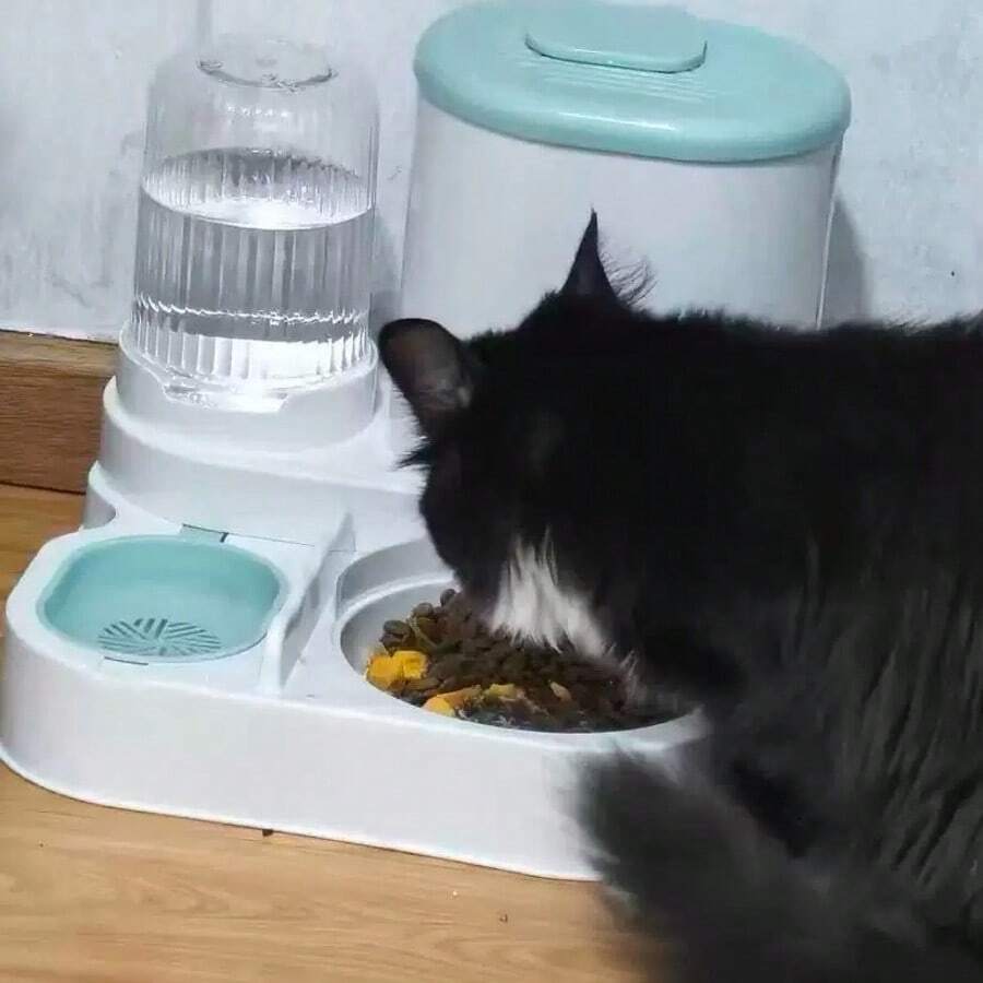 二合一自动猫咪饮水器套装 - 可拆卸、可清洗、自动喂食站、室内猫粮碗 - 500ml - 查看 1