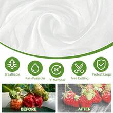 2,5 x 6 m Red de insectos blanca para vivero, árbol frutal, protección contra moscas, cubierta para árboles frutales, flores, vegetales, heladas, insectos y pájaros, red de cobertura para plantas - A - Ver 3