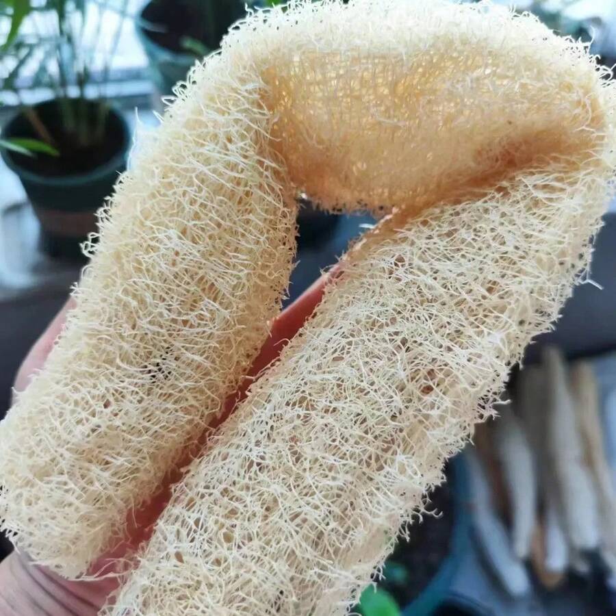 1PC Natural Loofah Scrubber - Multi-Purpose Cleaning Tool, for Kitchen/Bathroom Surface and Body Spa Daily Cleansing - 1 unidad - Ver 1