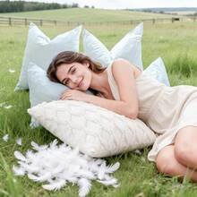 White Down Pillow Insert, 18x18/20x20/21x21 Inch Square Cushion Insert, Soft And Fluffy With Cotton Cover, Down-Proof, Suitable For Sofa Bed Home Decor Hotel - White - View 11