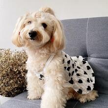一件黑白爱心狗狗印花吊带裙，轻盈透气，甜美清爽，适合泰迪犬、贵宾犬、马尔济斯犬等宠物夏季穿着。 - 白色 - 查看 8