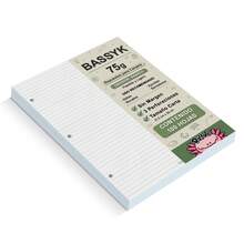 Rayale Copy & Multipurpose Paper - Stripe - View 2